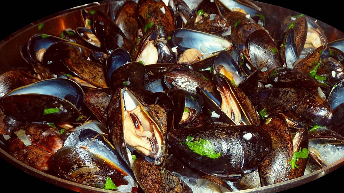 Perfect-Restaurant-Food-Mussels-Bianco-1200x675.jpg